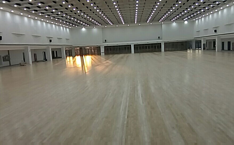 拼接板體育運動(dòng)地板結構