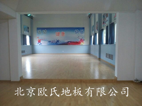 新疆運動(dòng)木地板案例