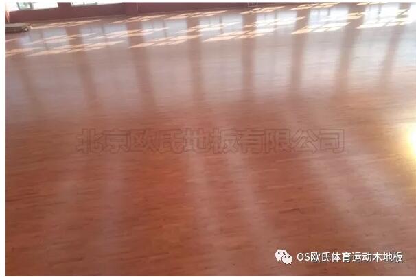 江蘇常州溧陽(yáng)市南渡鎮體育館運動(dòng)木地板案例