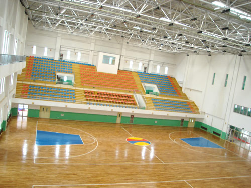 體育館運動(dòng)木地板招標采購案例