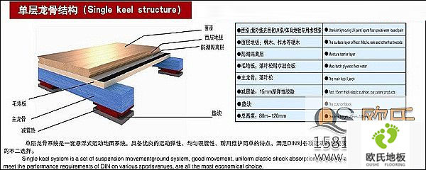 體育實(shí)木地板的結構層次