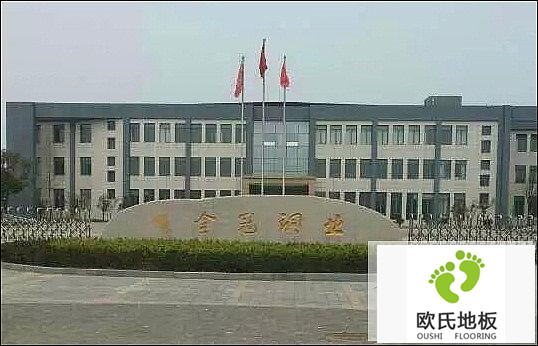 楓木運動(dòng)木地板施工案例-安徽銅陵有色金冠銅業(yè)文體活動(dòng)中心