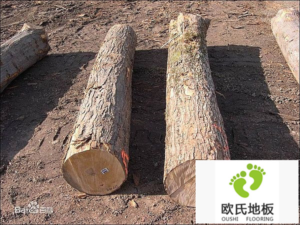 如何選擇體育實(shí)木地板廠(chǎng)家