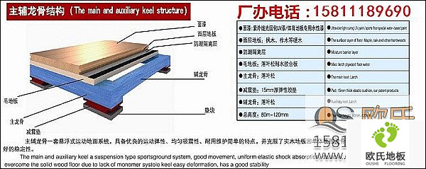 體育木地板區別于其它地板的特點(diǎn)