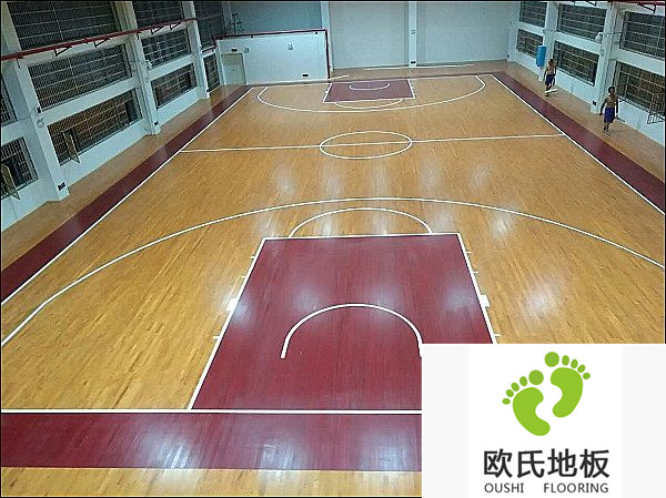 湖南長(cháng)沙雨花區芙蓉路小學(xué)籃球館工程案例